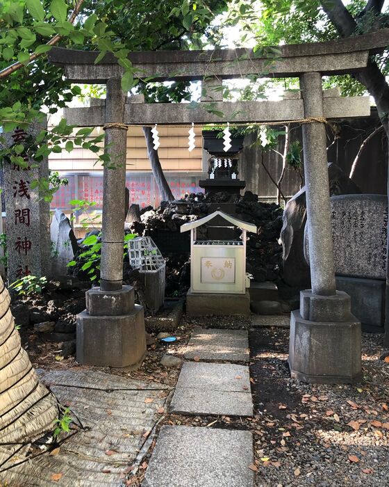 BLOG